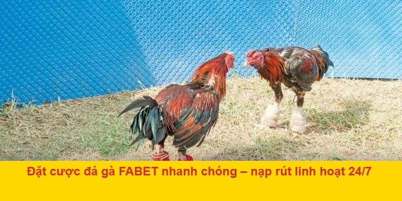 Quản lý vốn cược thông minh
