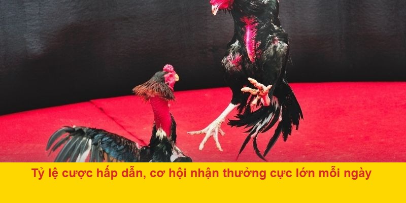 vBảo mật cao, thông tin cá nhân được bảo vệ